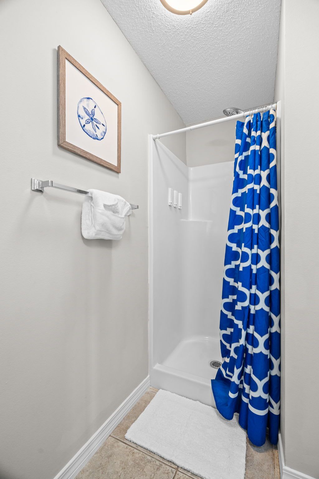 Een badkamer met een douche, een handdoekhouder en een ingelijste foto aan de muur.