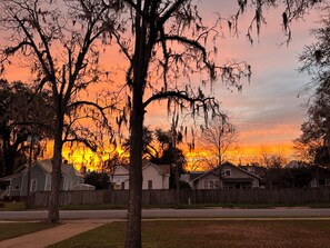 A residential area with houses and a tree in the foreground. - 2-bedroom Bainbridge Bungalow near Historic Downtown with yard - Room for boats! (Bainbridge)