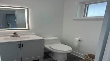 A modern bathroom with a toilet, sink, and mirror.