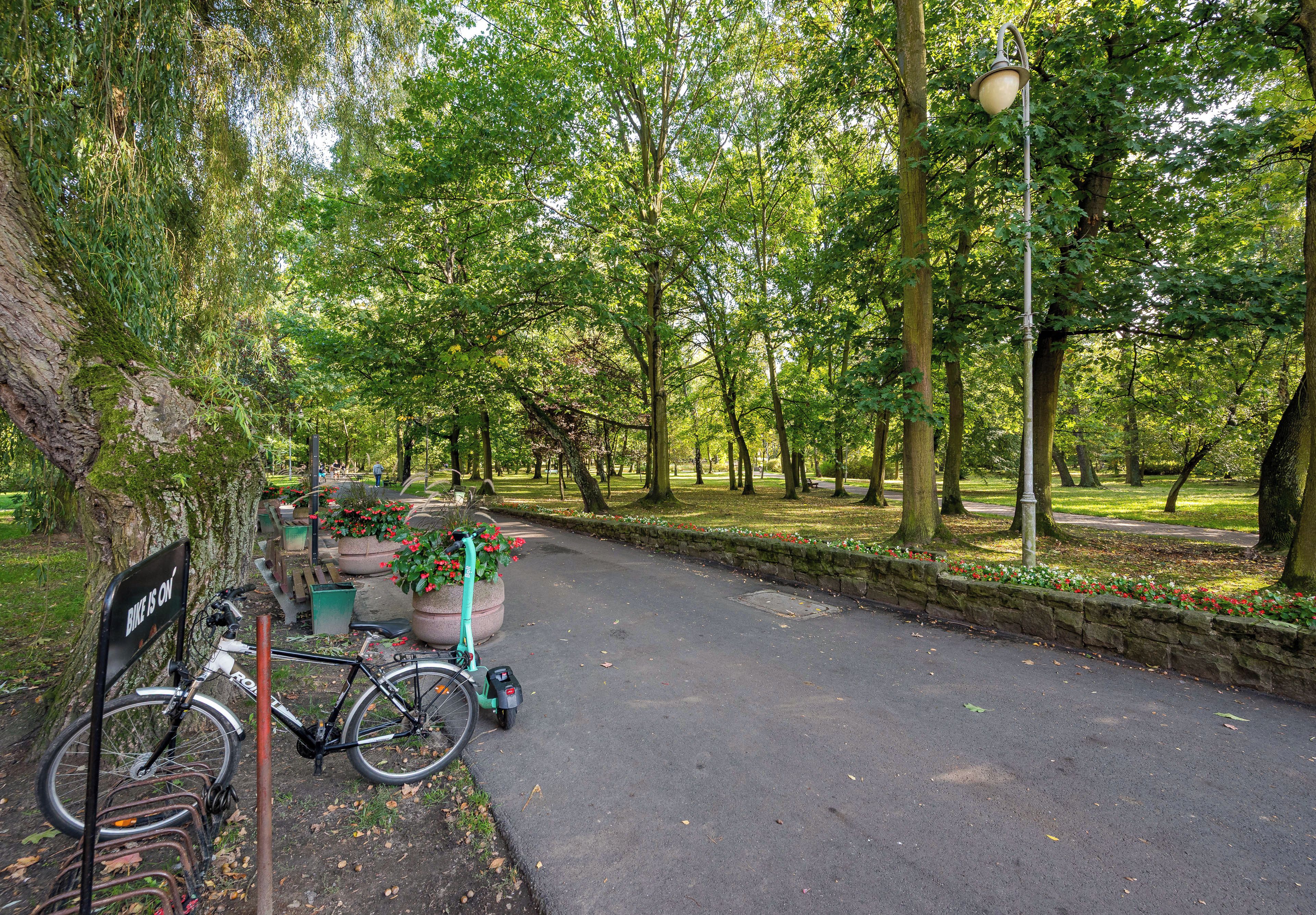 Een verhard pad in een park met bomen, een lantaarnpaal en een fietsenrek met een fiets.