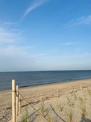 Ein Strand mit Holzpfeilung und spärlicher Vegetation.