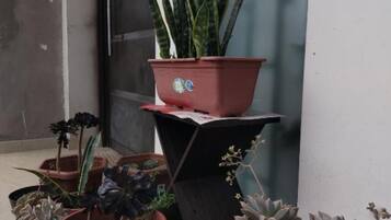 Verschillende potplanten op een balkon met een betonnen vloer en een deur op de achtergrond.