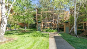 A courtyard with a pathway, trees, and a building with multiple floors.