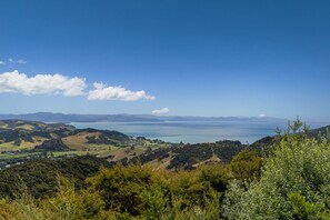 View - The Happy Local | Epic Coastal Views (Kūaotunu)