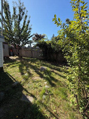 A backyard with a wooden fence, a tree, and a shed. - Spacious 3 Bedroom, 2 Bathroom Basement Suite – Central Coquitlam (Coquitlam)