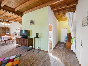 Een ruime woonkamer met een houten plafond, een televisie, een kast en een kleurrijk vloerkleed.