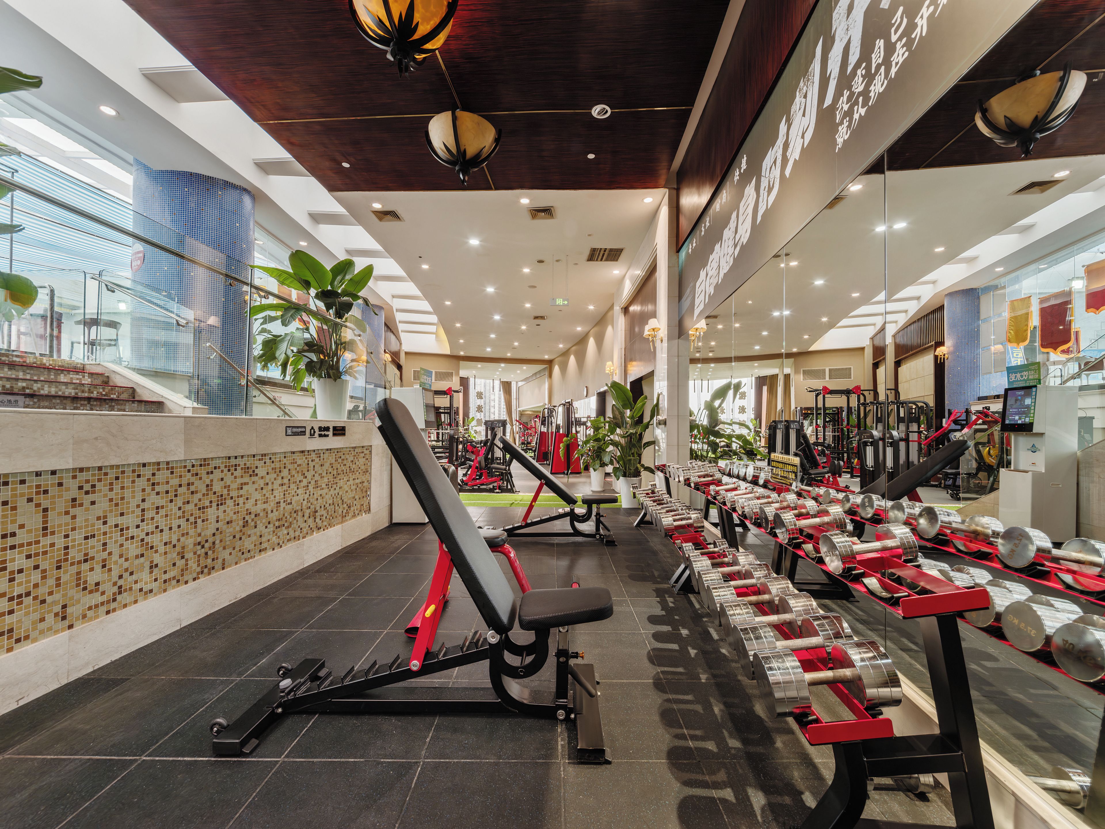 A gym with exercise equipment, a staircase, and potted plants.