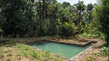 Un paisaje natural con un estanque, rodeado de abundante vegetación y árboles.