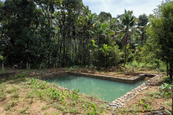 A natural landscape with a pond, surrounded by dense vegetation and trees.