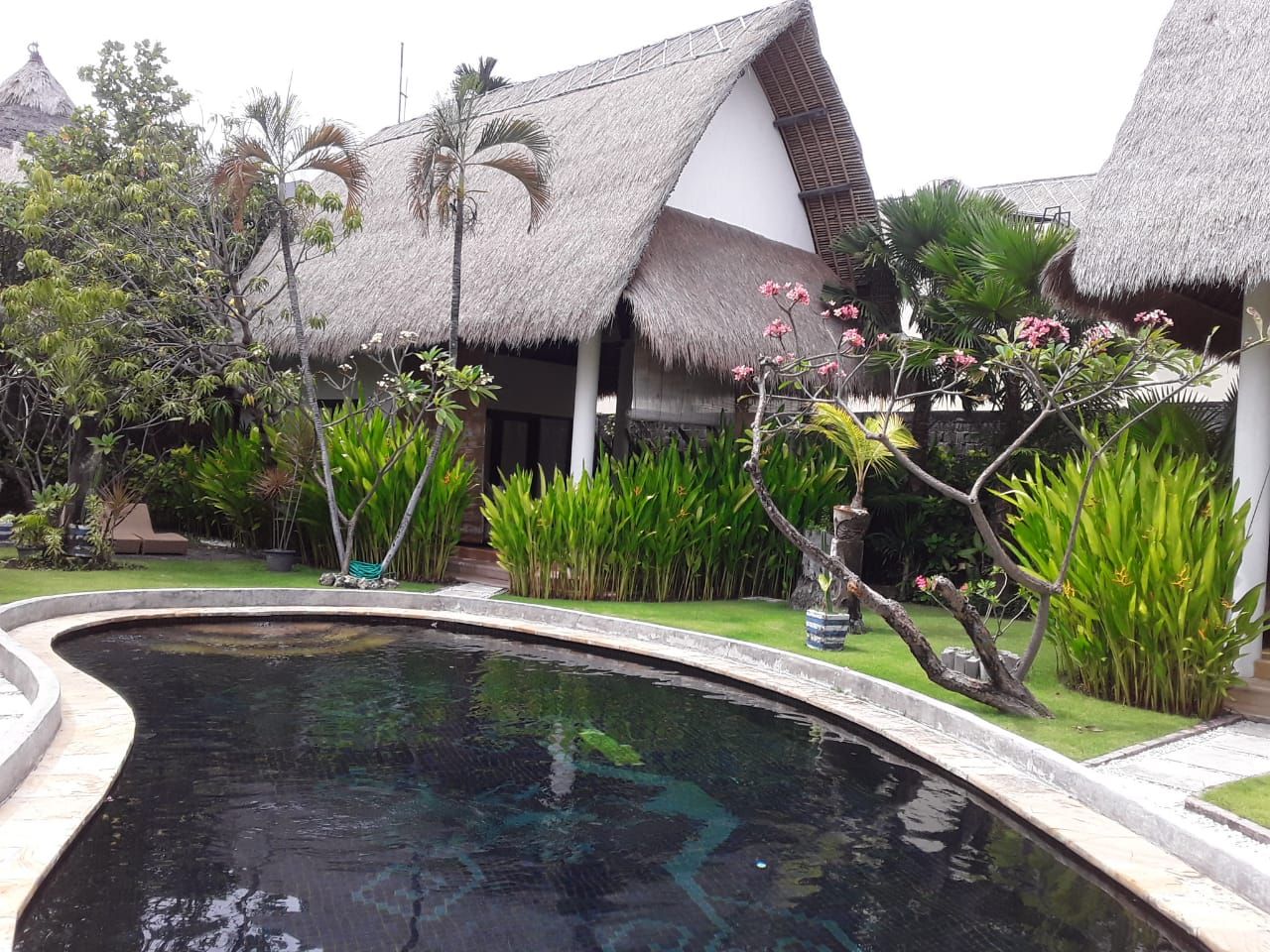 A swimming pool with a thatched-roof structure and lush greenery in the background.