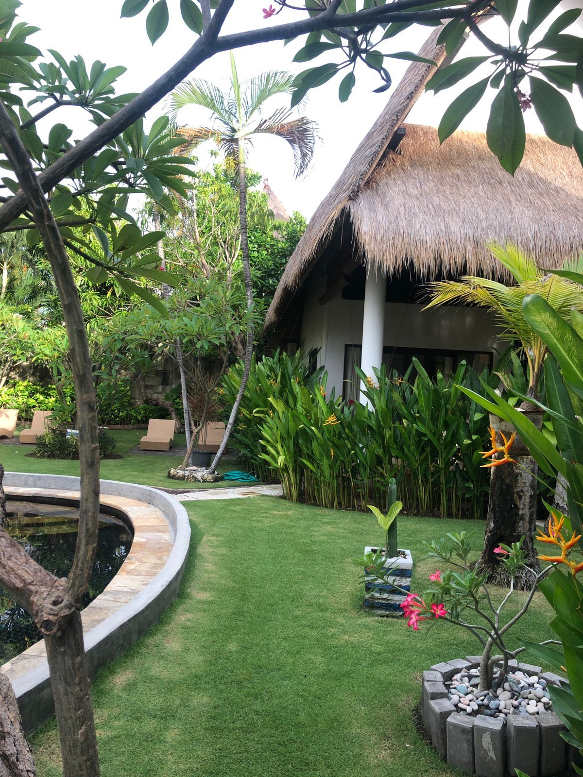 A tropical garden with a thatched-roof structure, a circular water feature, and various tropical plants.