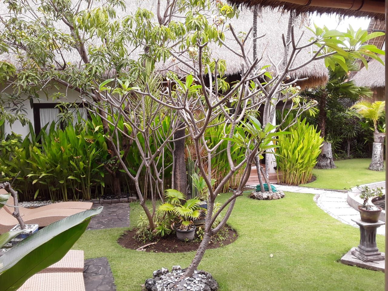 A garden with various plants and a thatched-roof structure.