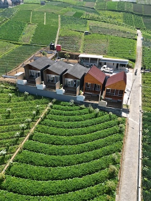 Front of property - Lawu View Glamping (Karanganyar)