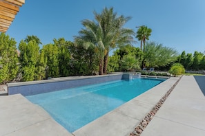 Une piscine rectangulaire dont les bords sont recouverts de carreaux, entourée d’une terrasse en béton et agrémentée de divers arbres et arbustes.