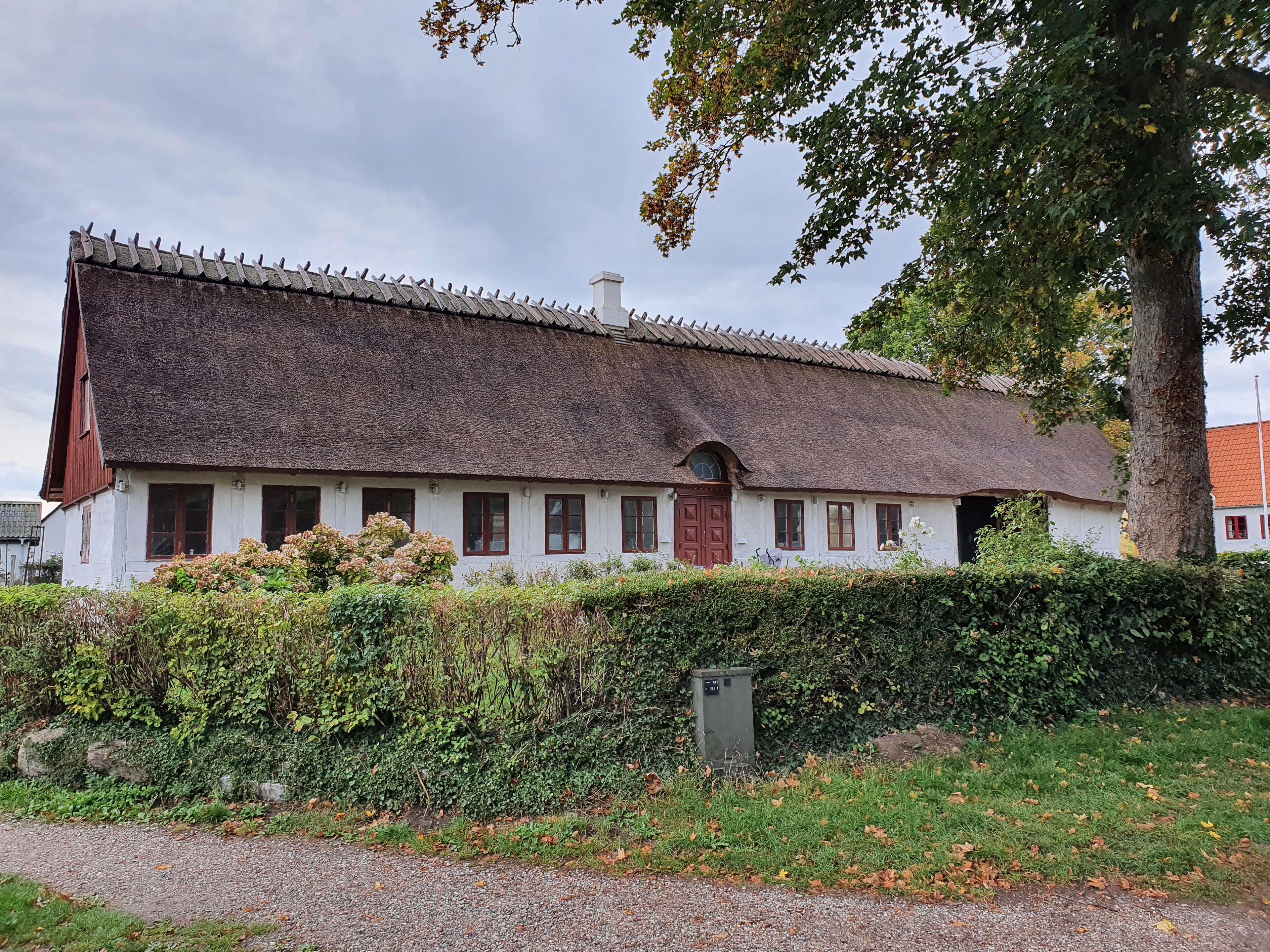 Eksteriør