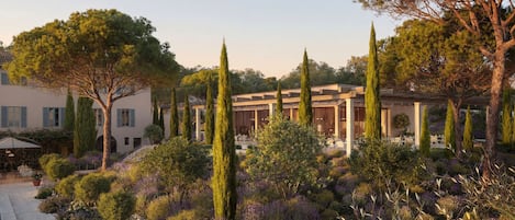 A landscaped garden with a variety of trees and shrubs, a pergola structure, and a building with a modern architectural style.