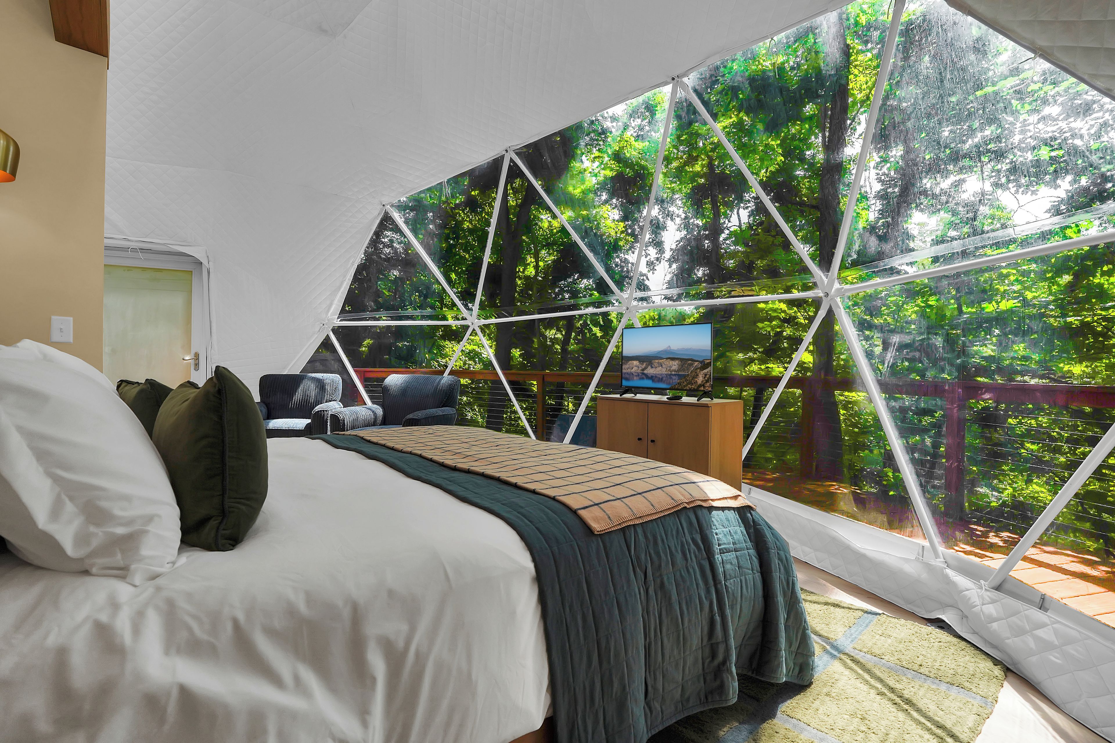 A tented room with a bed, a television, and a view of a forest.