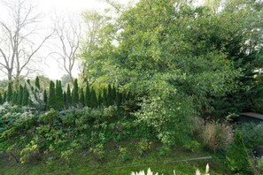 Um jardim com diversos tipos de árvores e arbustos, incluindo coníferas altas e plantas de folha larga.