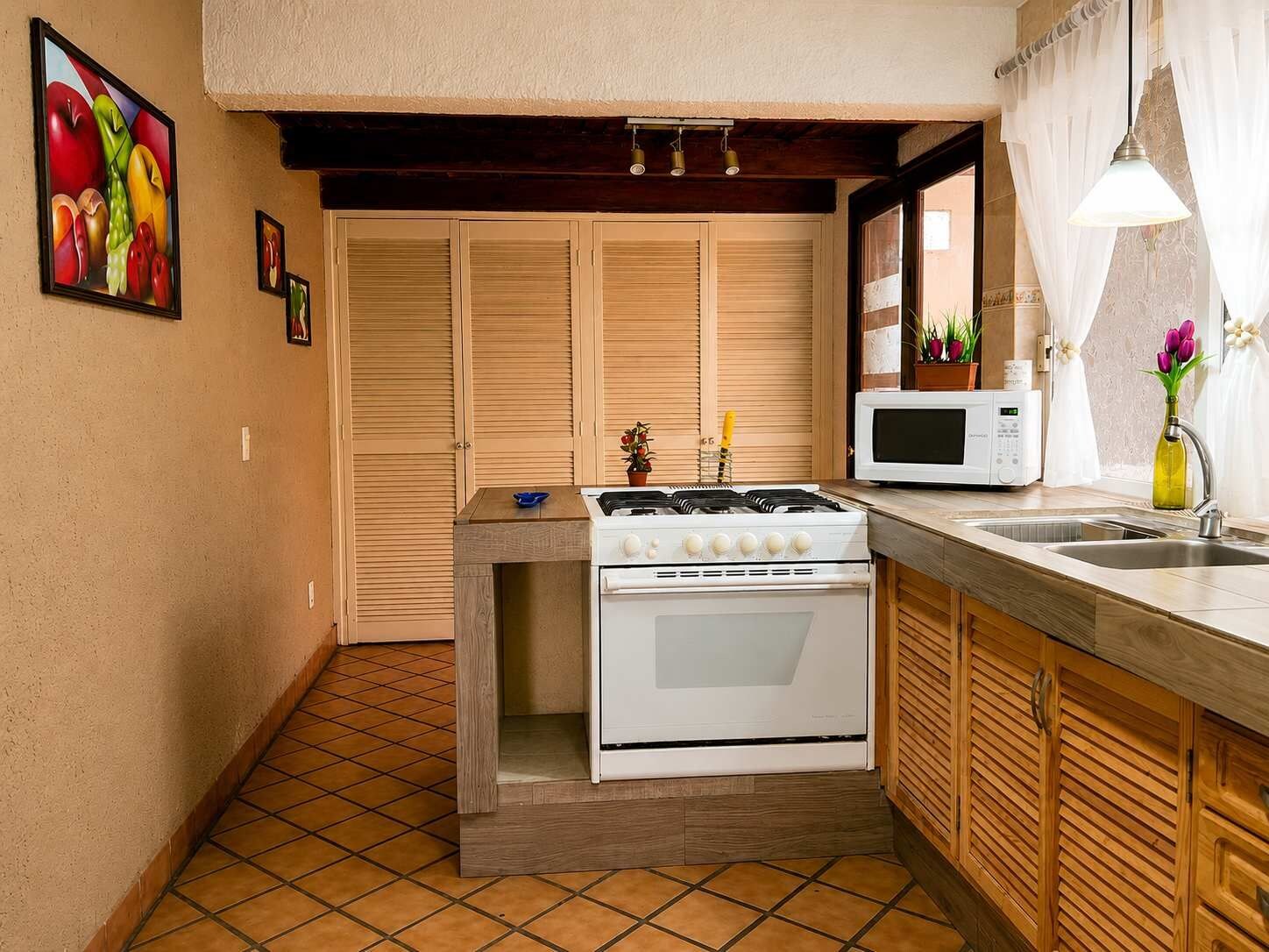 Une cuisine de taille réduite équipée d’une cuisinière à gaz, d’un four, d’un four à micro-ondes et d’un évier.