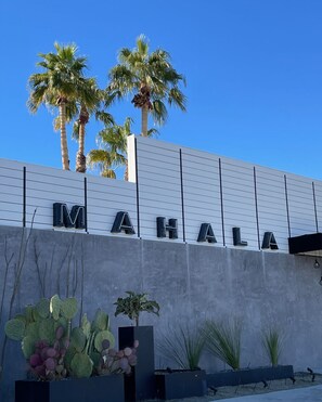 Un edifici amb les lletres 'MAHALA' a la façana, envoltat de cactus i palmeres.