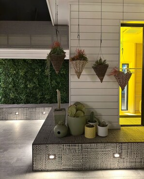 Un interior moderno con macetas colgantes, un cactus y una pared con textura.