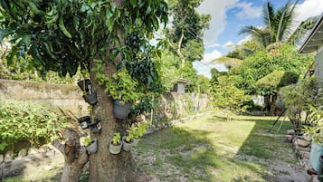 A tree with multiple potted plants attached to its trunk, a stone wall, and a grassy area with various plants.