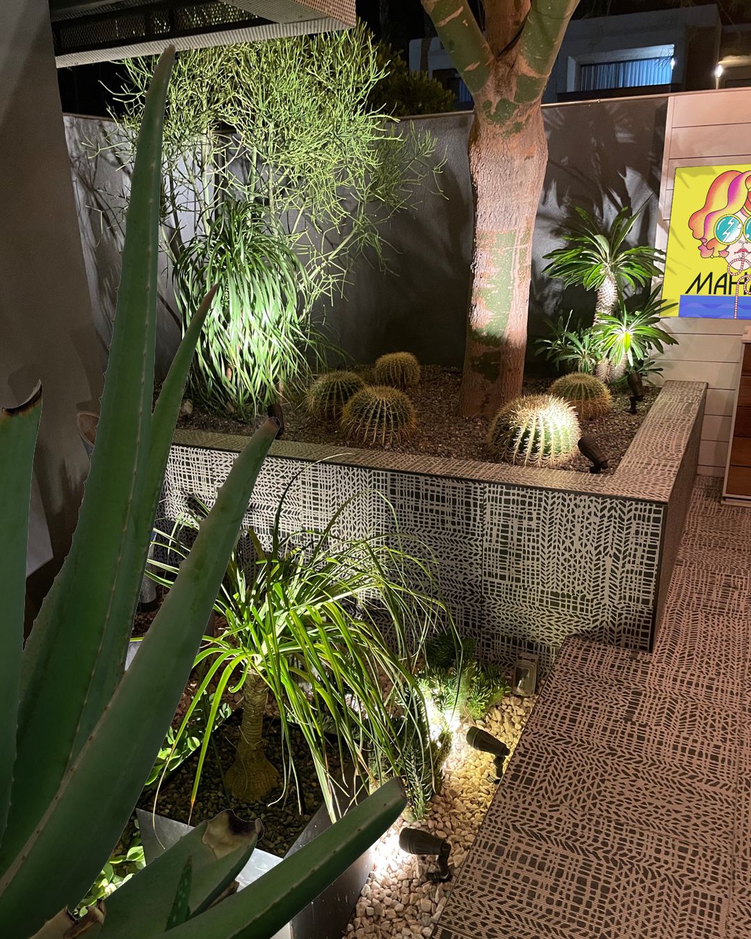 A cactus garden with various cacti and succulents, a tree, and a decorative wall.