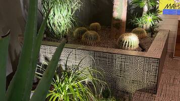 A cactus garden with various cacti and succulents, a tree, and a decorative wall.