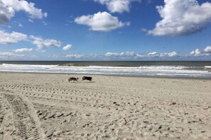 Untagged - "Ida", Strandslag 13 (Julianadorp aan Zee)