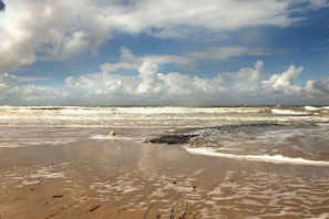 Untagged - N5 Irene Callantsoog (Callantsoog)