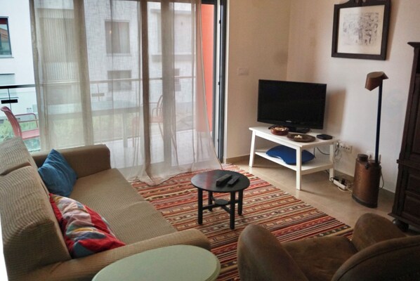 A living room with a sofa, a television on a stand, a coffee table, and a patterned rug.