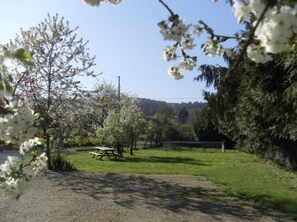 Un área de picnic con una mesa y bancos, rodeada de árboles y un campo cubierto de césped.