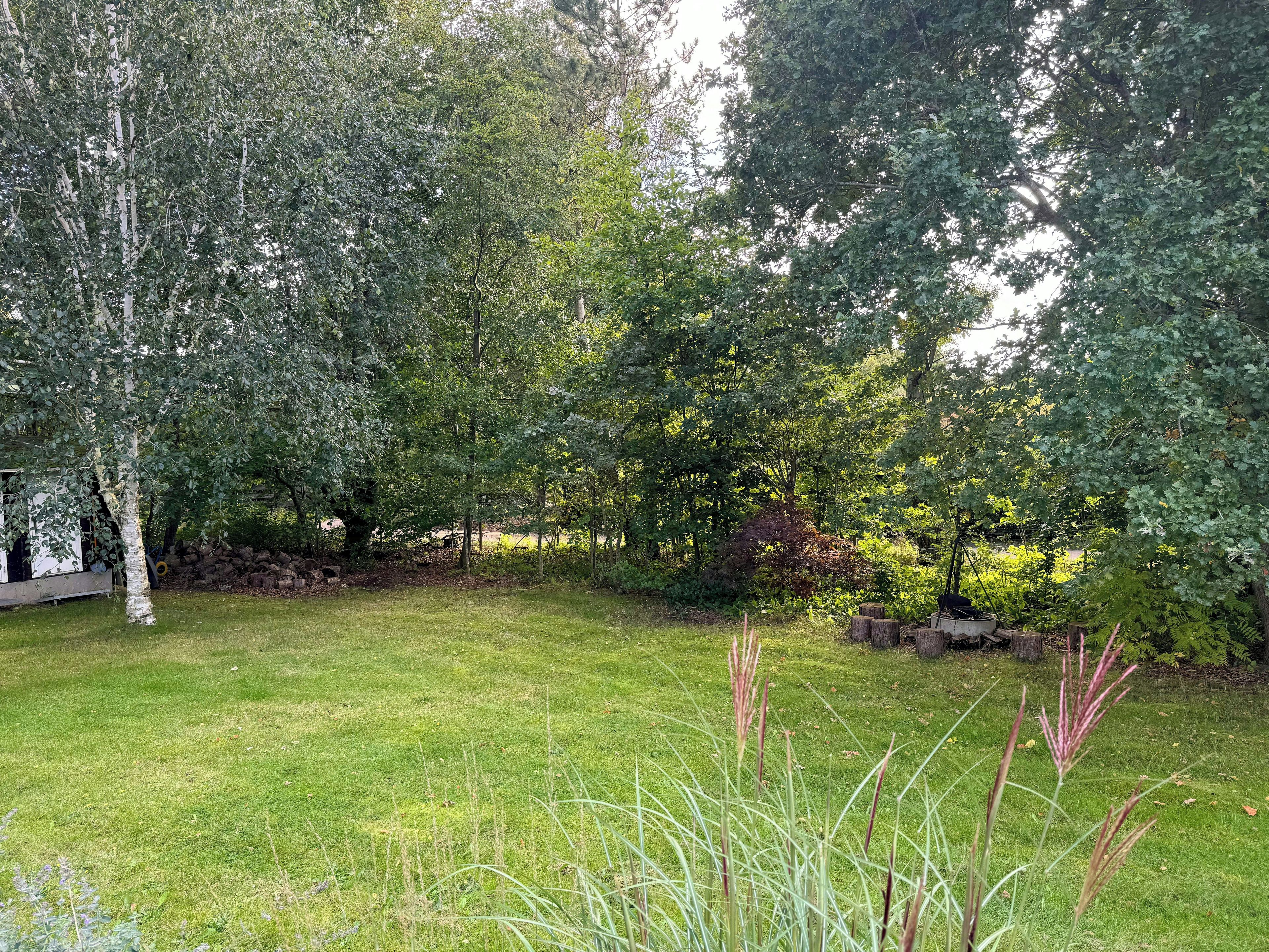 Une zone herbeuse avec des arbres et une petite construction.
