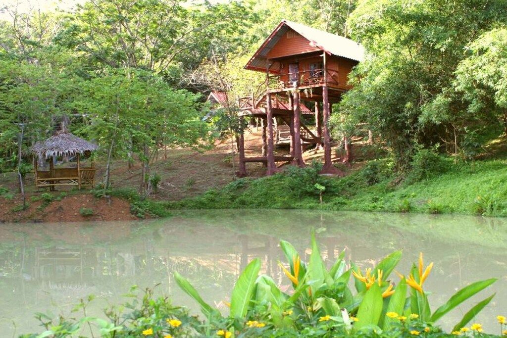 Una casetta sugli alberi in legno con un balcone, immersa in un lussureggiante verde e affacciata su uno stagno tranquillo.