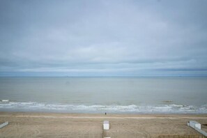 Directe omgeving [zomer] (<1 km)
