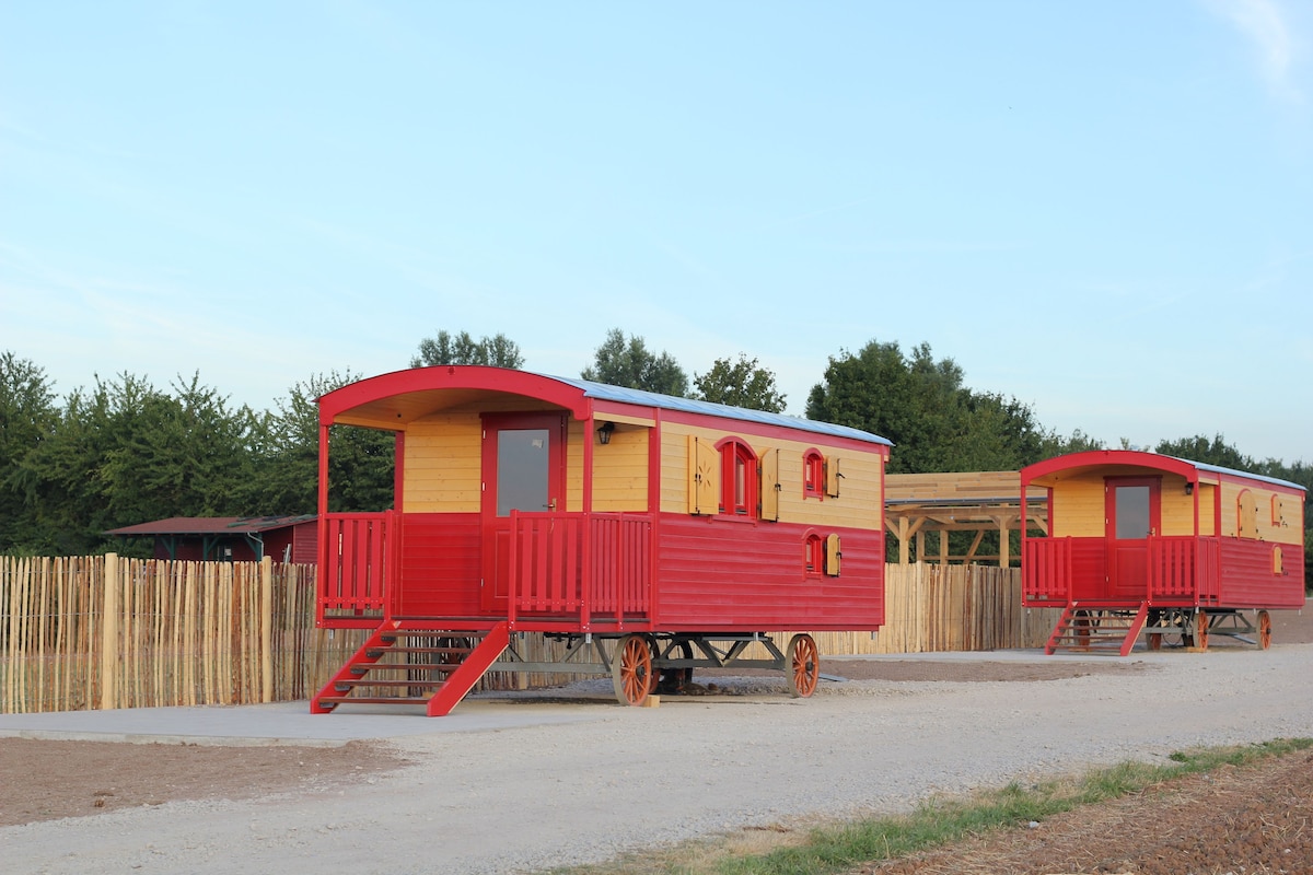 Two red and yellow train carriages with wooden wheels, set on a gravel surface with a wooden fence and trees in the background.