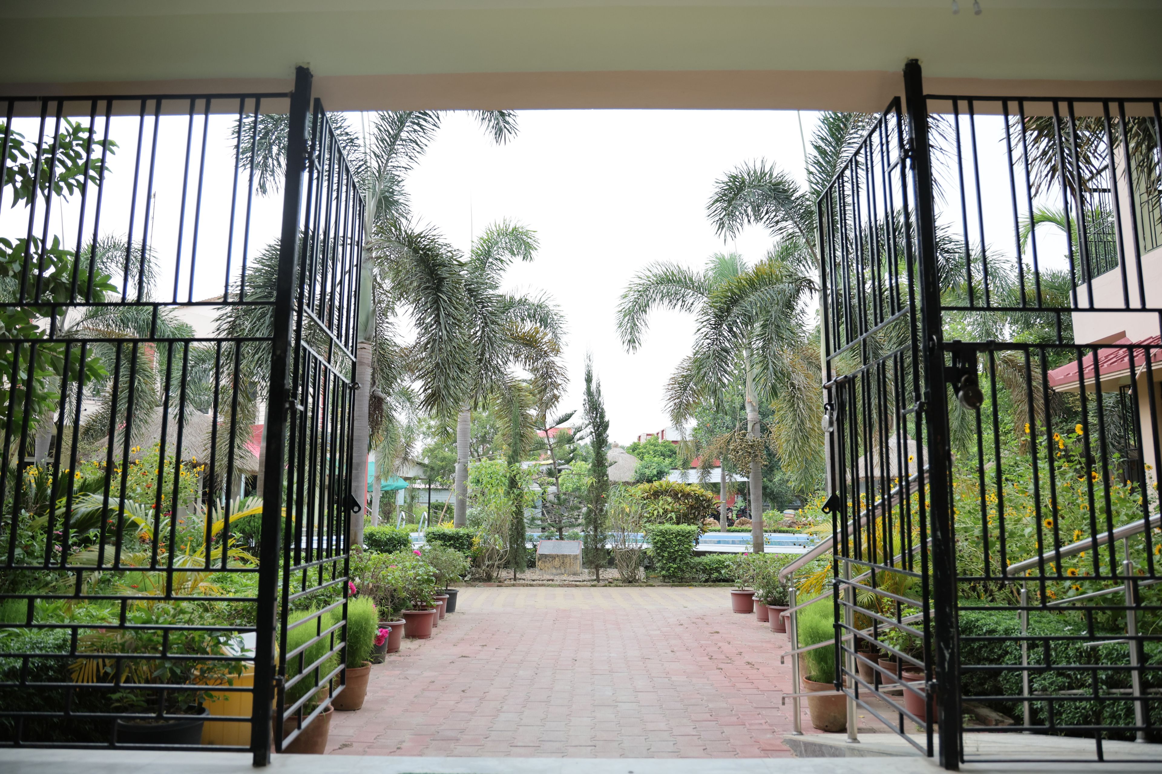 Una entrada con reja a una propiedad, con un camino pavimentado que atraviesa un jardín con diversas plantas y un edificio al fondo.