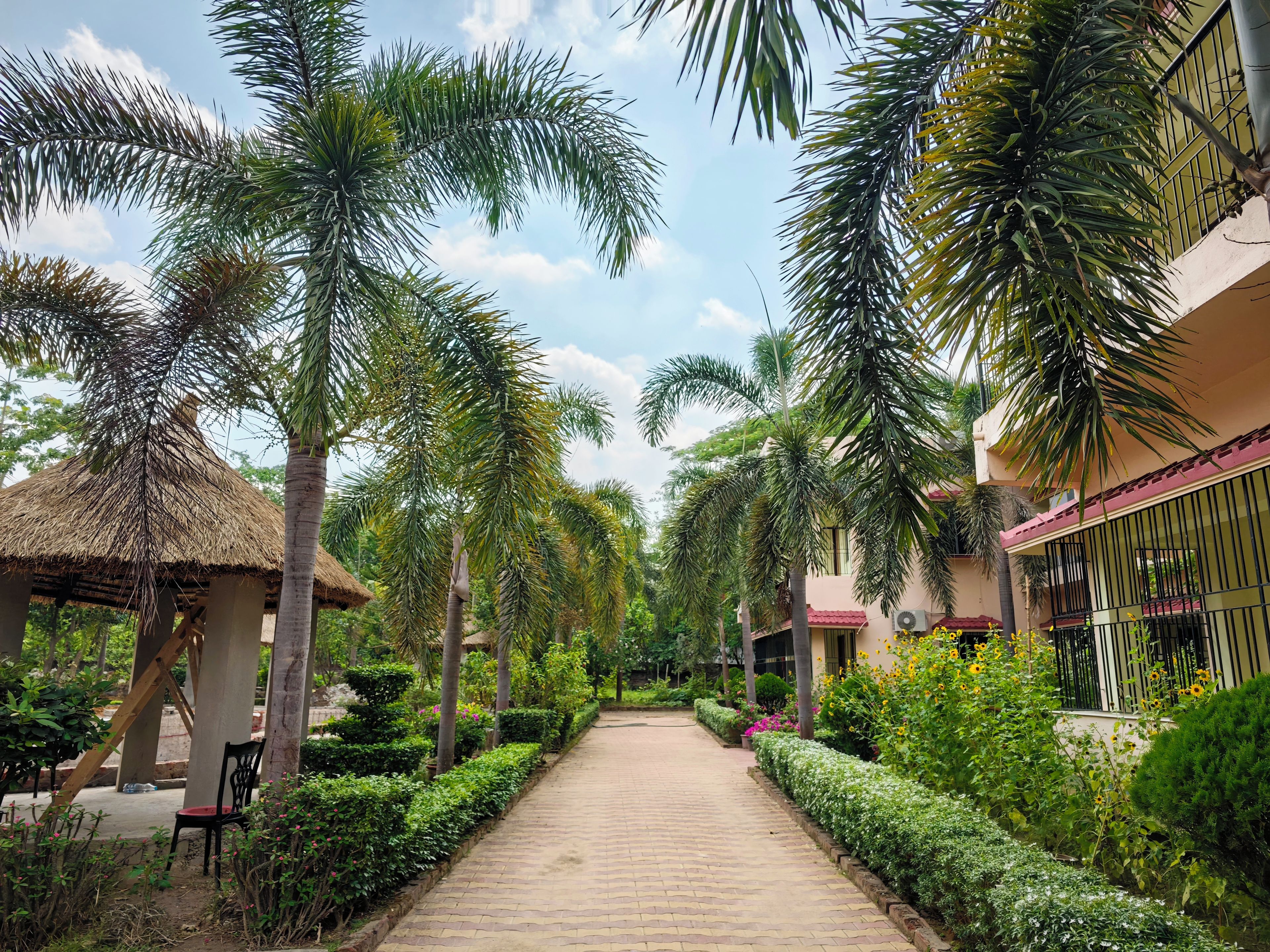 A pathway flanked by palm trees and a building with a red roof.
