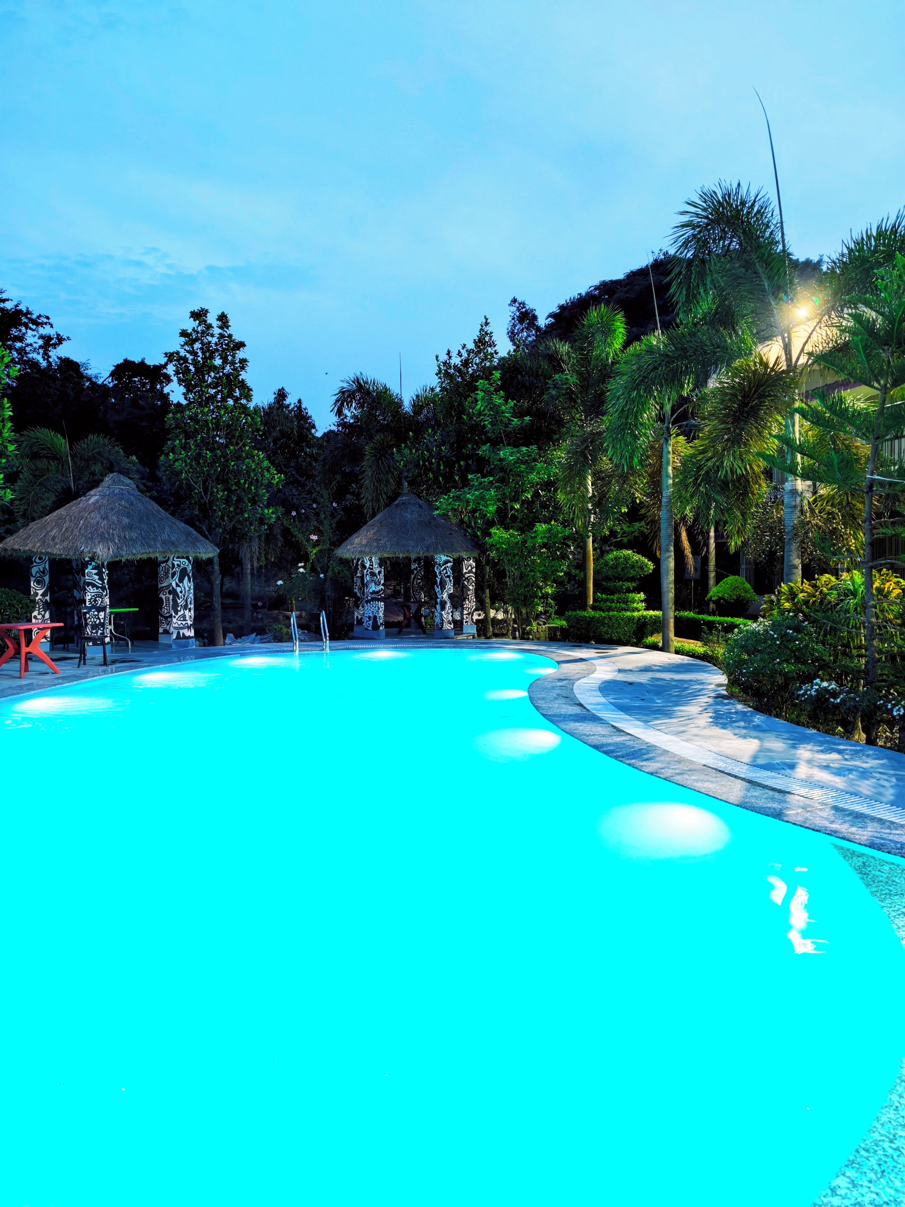 Una piscina con dos estructuras de techo de paja, rodeada de follaje tropical.