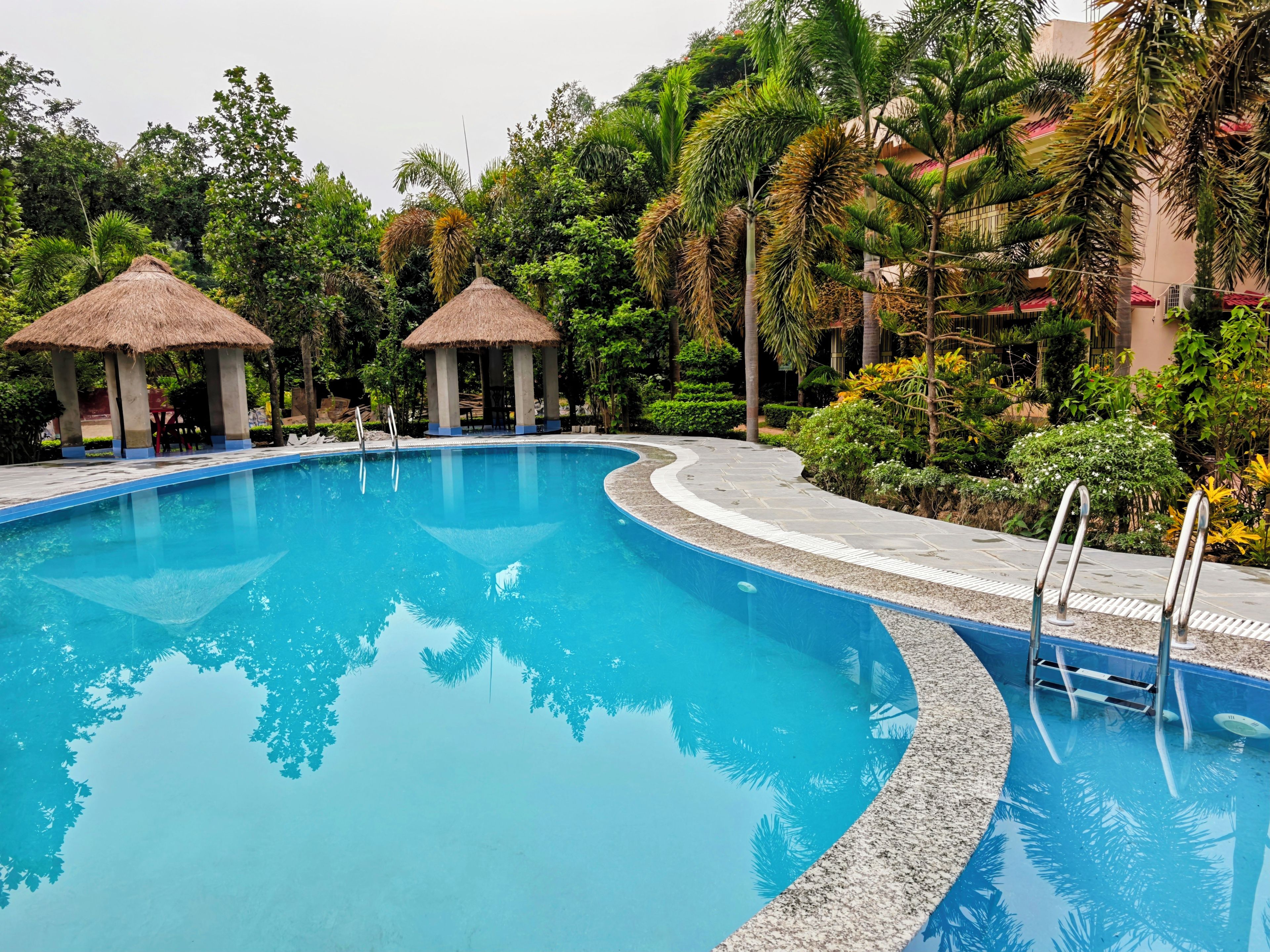 A swimming pool with a curved edge, surrounded by tropical vegetation and two thatched-roof structures.