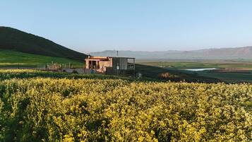 Un paisaje rural con una pequeña construcción de piedra rodeada de campos de flores amarillas.