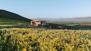 Khác
