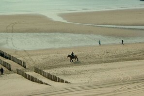 Une plage de sable où l’on voit une personne à cheval et d’autres personnes qui se promènent.