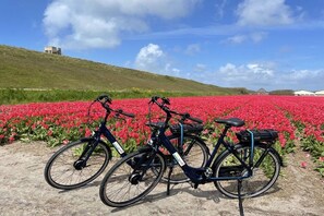 Trois vélos sont garés dans un champ de fleurs rouges, avec une colline et des bâtiments en arrière-plan.