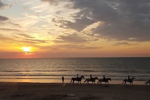 A beach scene with a sunset, horses, and riders.