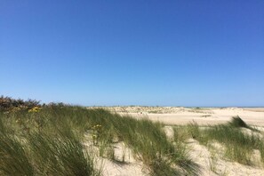 Ein Strand mit Dünen und vereinzelter Vegetation.