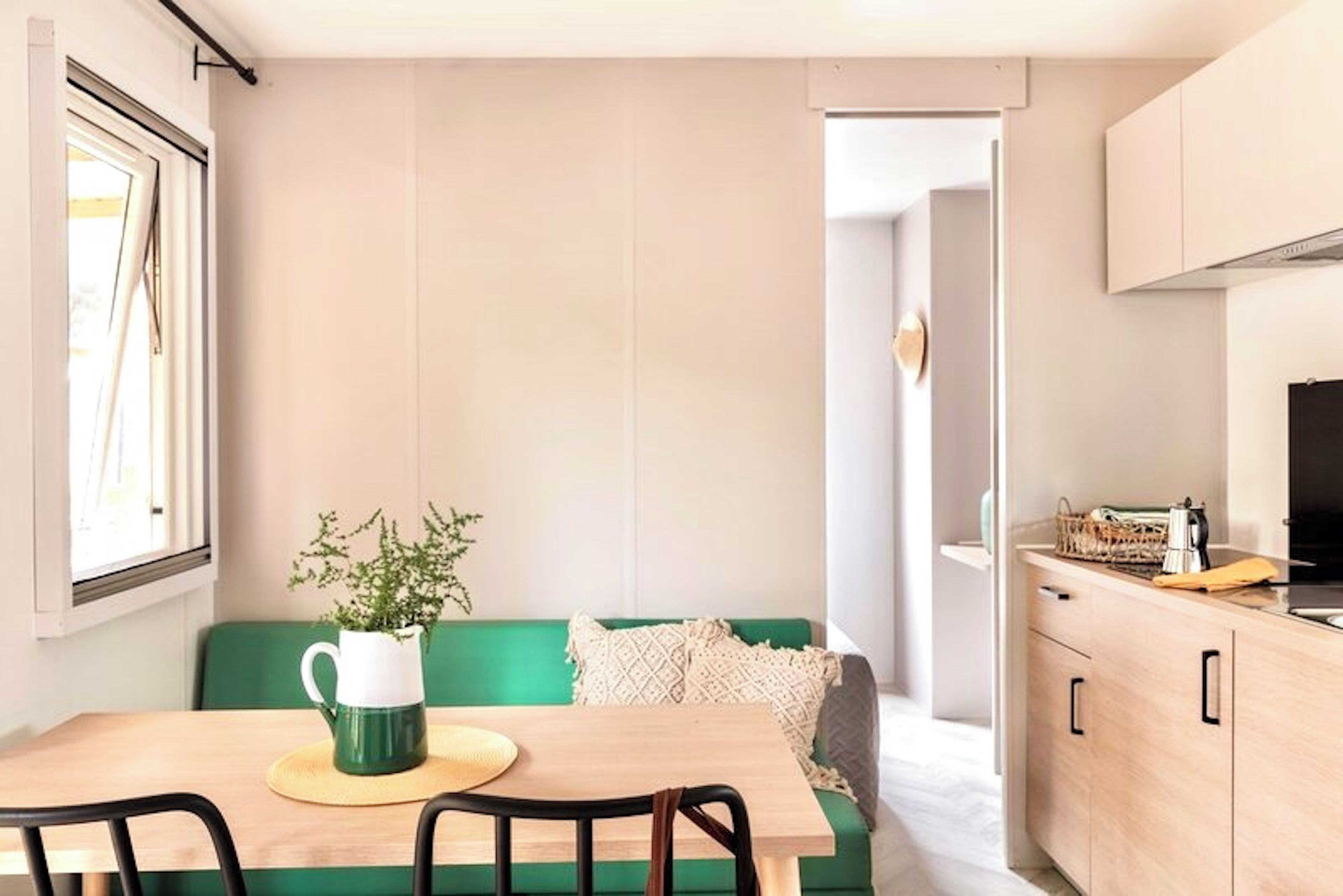 Une cuisine compacte avec un coin repas, un canapé vert et une table basse agrémentée d’une plante.