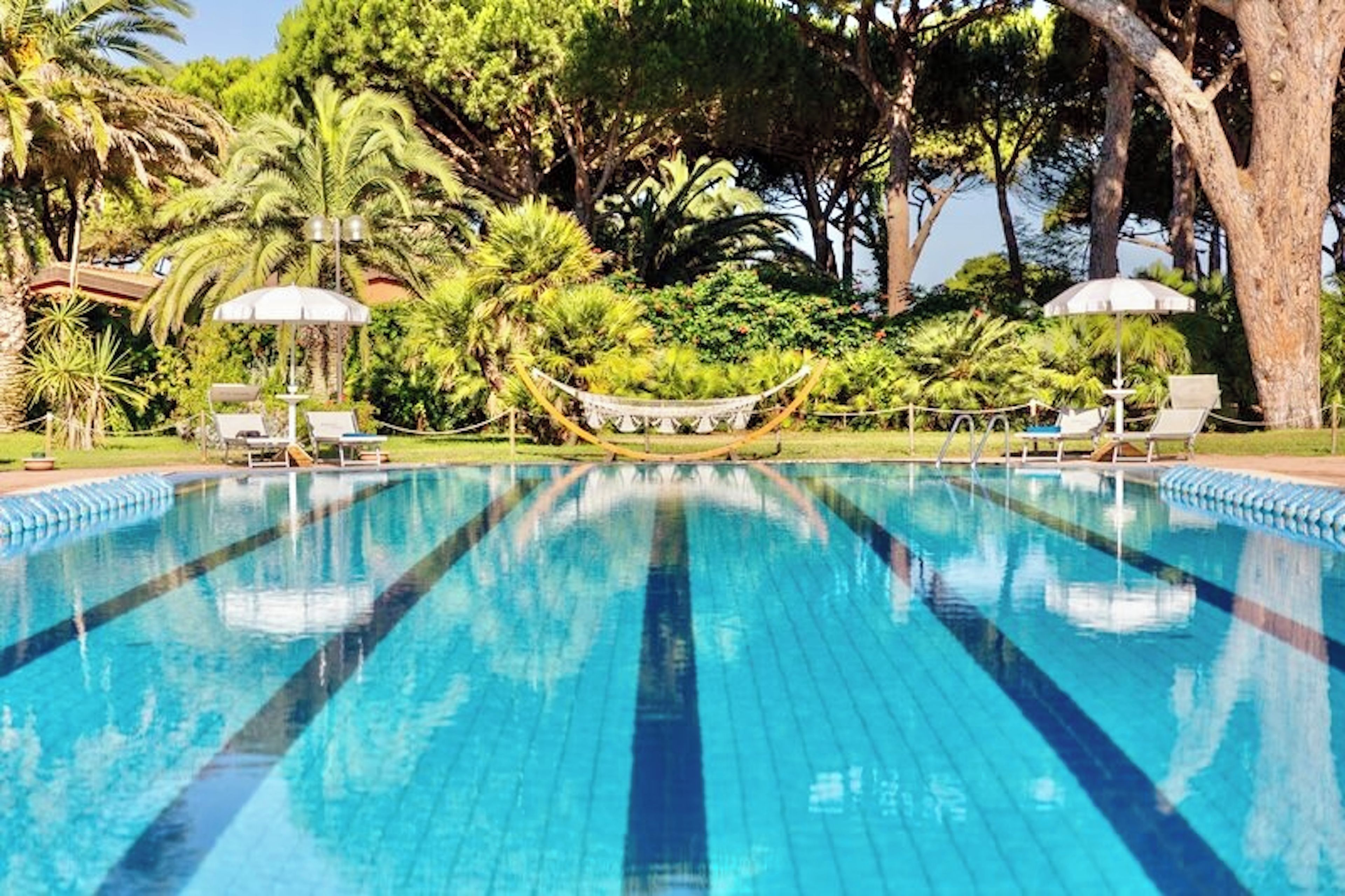 Una piscina con agua cristalina azul, rodeada de exuberante vegetación y árboles.