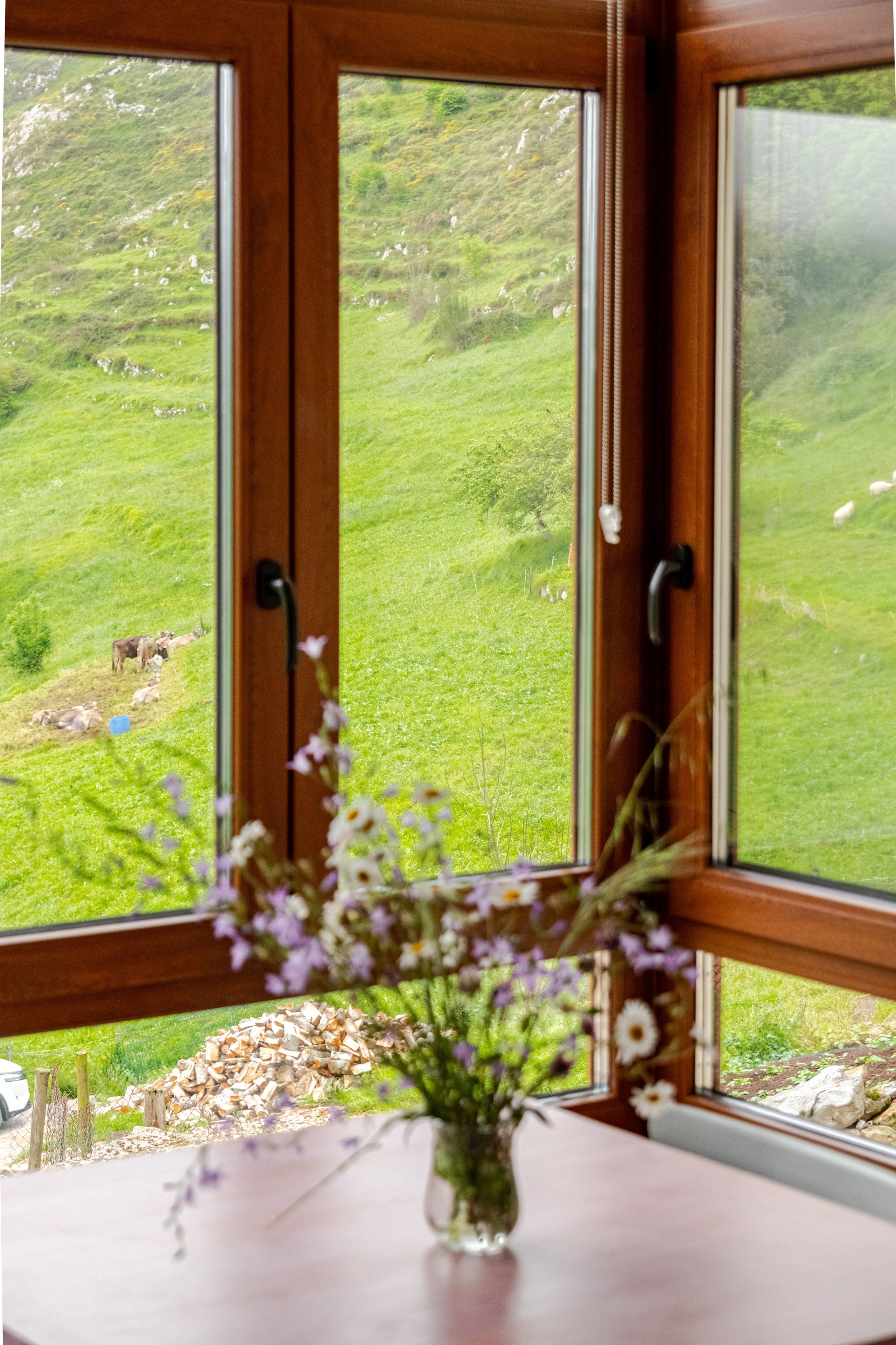 A window with a view of a green landscape, a wooden table with a vase of flowers, and a wooden door with a handle.
