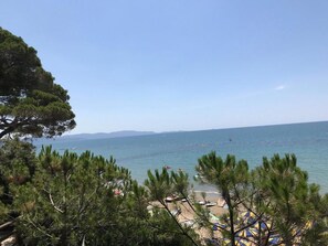 Une plage bordée de pins au premier plan, un ciel dégagé et une mer calme.
